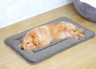 ⁦מיטה ענקית לכלב 122X76 ס"מ Huge dog bed⁩ – תמונה ⁦2⁩