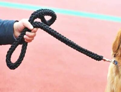 ⁦רצועה לכלב בינוני עד גדול מאוד Dog leash באורך 1.5 מטר⁩ – תמונה ⁦4⁩