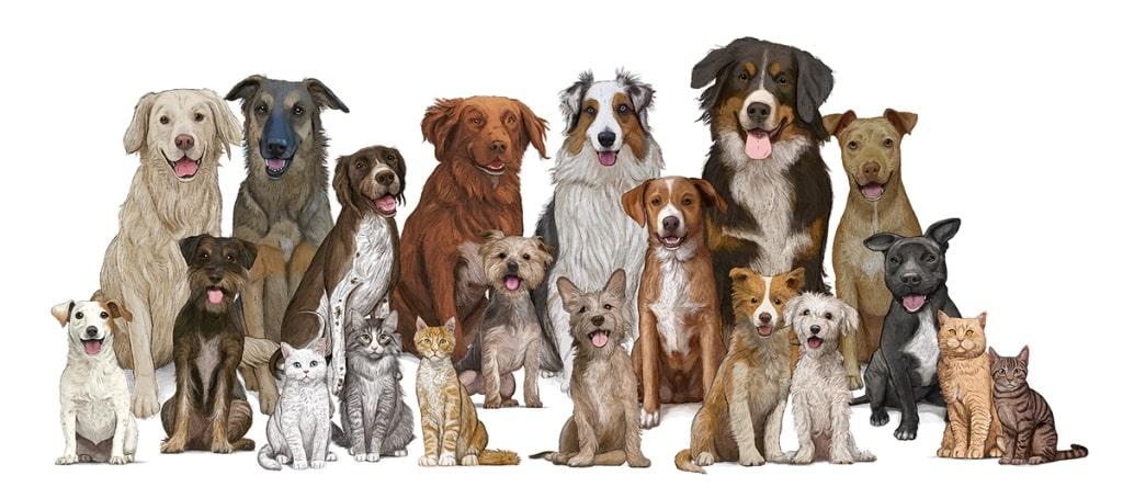 גוסבי בעלי חיים הם משפחה