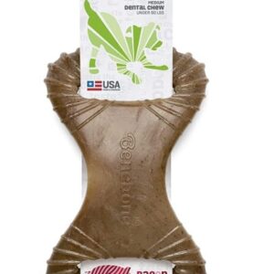 בנבון עצם נשיכה בטעם בייקון Benebone Dental Dog Chew Toy