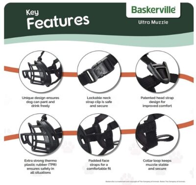 ⁦מחסום פה בסקרוויל מידה 2 Baskerville⁩ – תמונה ⁦3⁩