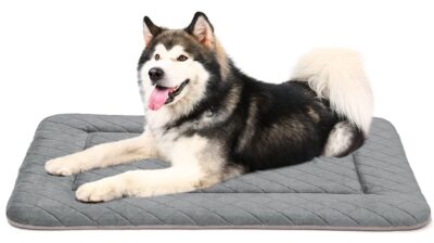 מיטה-לכלב-גדול-וענק.jpeg
