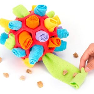 משחק הרחה מאתגר לכלבים רמה 2