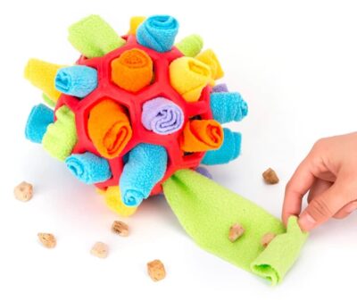 משחק הרחה מאתגר לכלבים רמה 2
