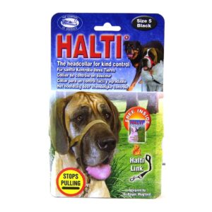 קולר ראש חינוכי האלטי לכלבים מספר 5 Halti