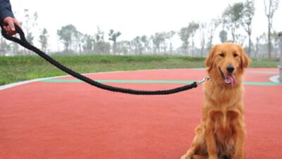 ⁦רצועה לכלב בינוני עד גדול מאוד Dog leash באורך 1.5 מטר⁩ – תמונה ⁦2⁩