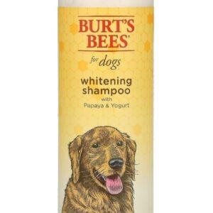 שמפו מלבין פפאיה ויוגורט 473 מל ברוטס ביס Burts Bees