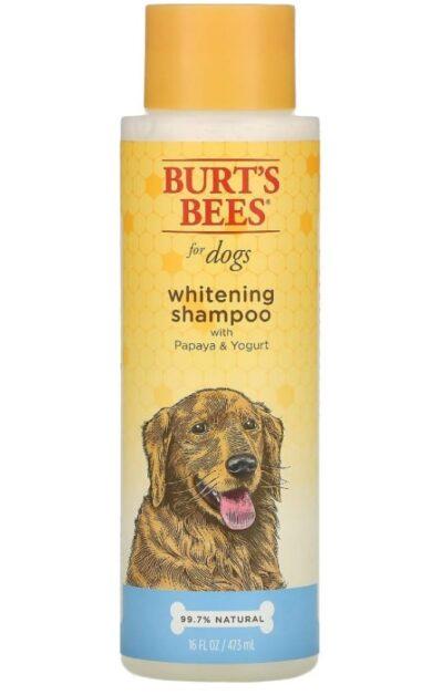 שמפו מלבין פפאיה ויוגורט 473 מל ברוטס ביס Burts Bees