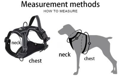 איך למדוד רתמה לכלב עם ידית אחיזה
