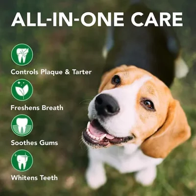 ווט בסט אבקת דנטלית לכלב 90 גרם Dental Powder for Dogs 90gיתרונות