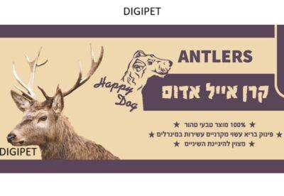 קרן אייל אדום תמונה ראשית דיגיפט
