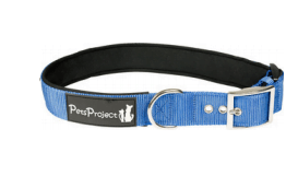 PetsProject קולר אבזם חזק ומרופד XL פטס פרוג'קט בצבע כחול