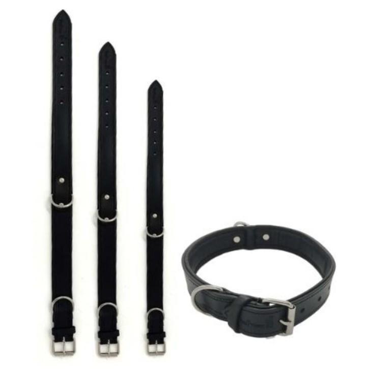 קולר עור מרופד לכלב פטס פרוג'קט גדלים