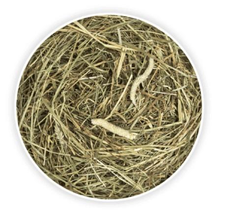 חציר קוניפיק פרימיום טימוטי 500 גרם Cunipic Hay תצוגה