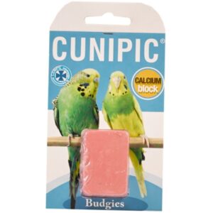 אבן סידן לתוכונים