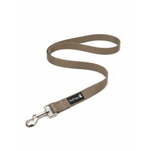 רצועה בייסיק בז'