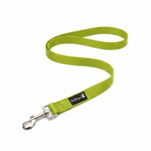 רצועה בייסיק ירוקה