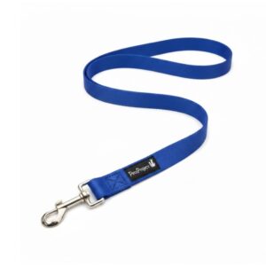 רצועה בייסיק כחולה