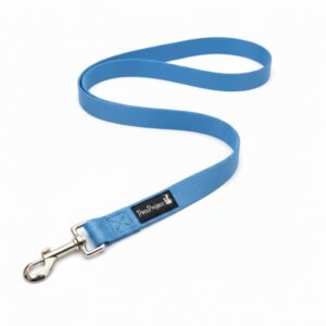 רצועה בייסיק תכלת