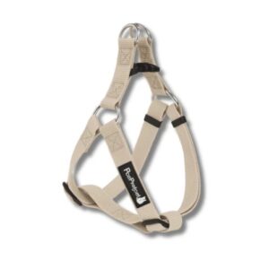 רתמה בייסיק בז'