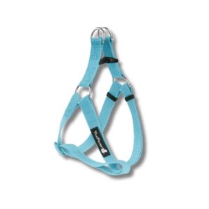 רתמה בייסיק תכלת